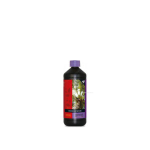 Booster coco uni