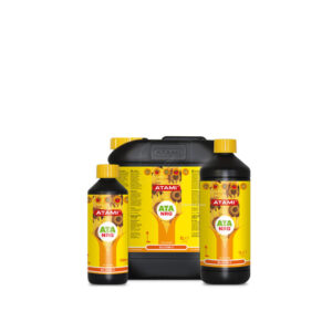 Bloom c ata nrg