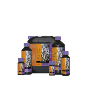 Root stimulator