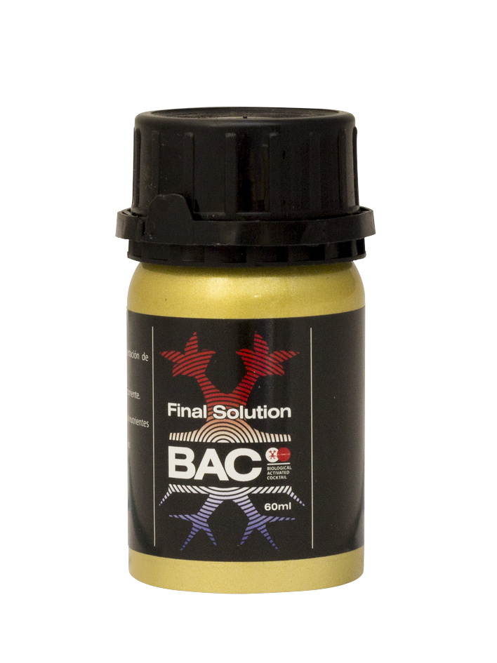 Final solution
