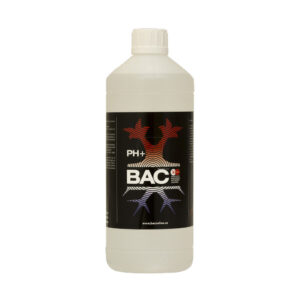 Ph up 1 l bac