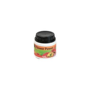 Flower power 500 g vdl