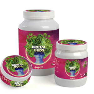 Brutal buds