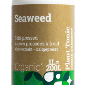 Seaweed