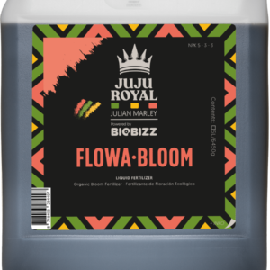 Juju flowa-bloom