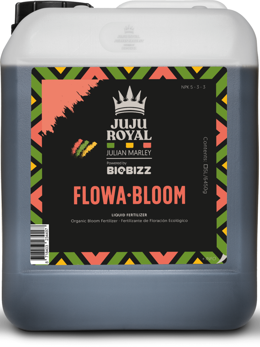 Juju flowa-bloom