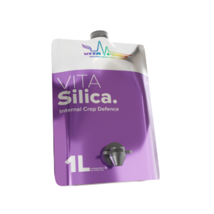 Vitasilica