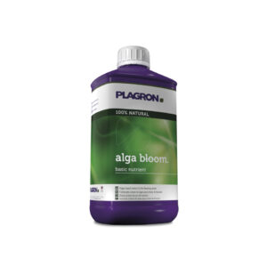 Alga bloom