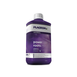 Power roots