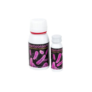 Bactobloom