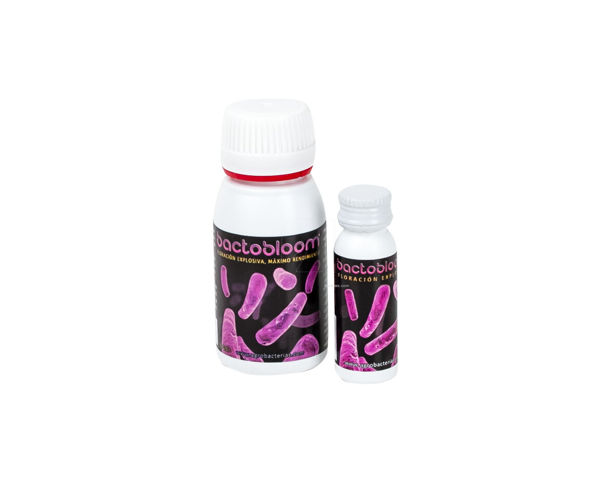 Bactobloom