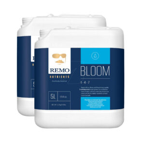 Bloom