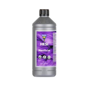 Hesilicio