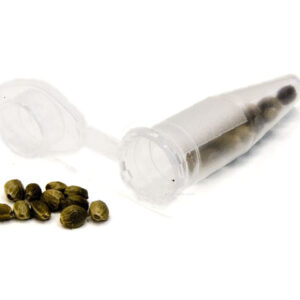 Tubo eppendorf grande (bolsa 1000 uds)