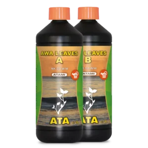 Awa leaves a