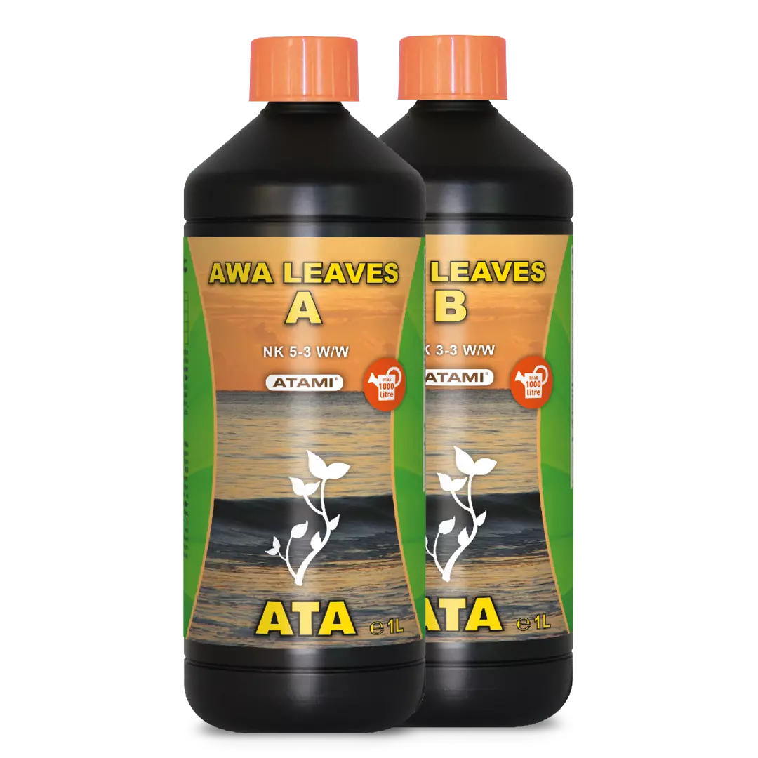 Awa leaves b