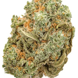 Auto Amnesia