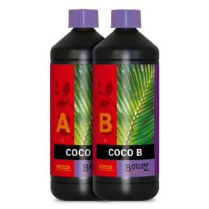 Coco a