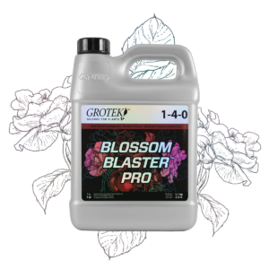 Blossom blaster pro grotek
