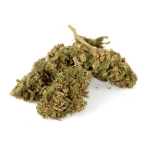Gelato 41 · Flores H10