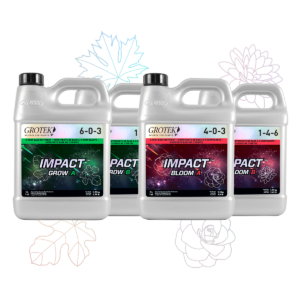 Impact bloom a grotek