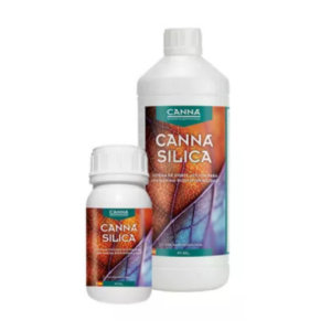 Canna silica