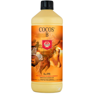 Coco b h&g