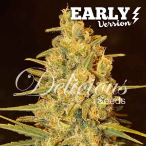 Critical sensi star early version 100% delicious