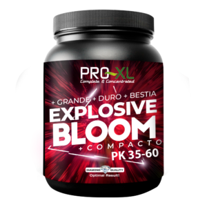 Explosive bloom pro-xl