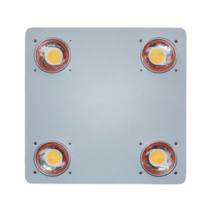 LUMA P4 COB LED Grow Light