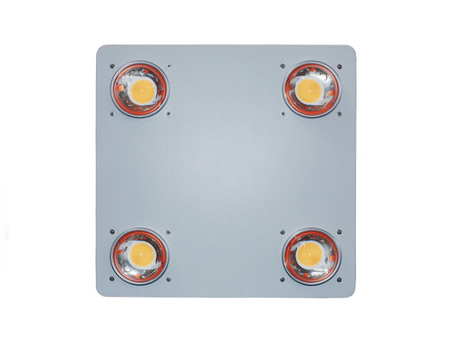 LUMA P4 COB LED Grow Light — HortiBloom