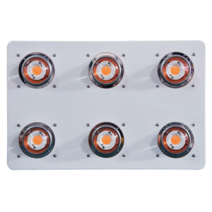 LUMA P6 COB LED Grow Light