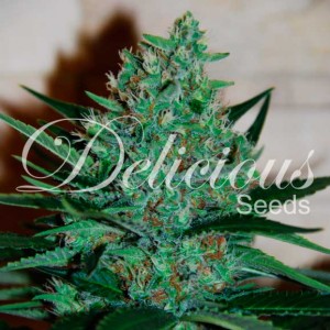 Fruity chronic juice 100% delicious