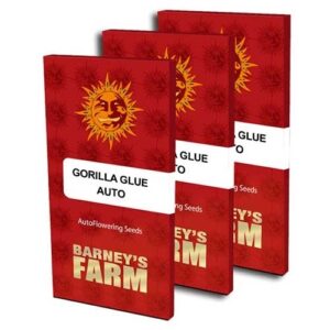 Gorilla glue auto barney´s farm seeds