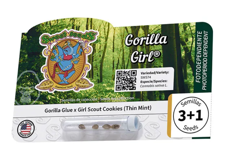 Gorilla girl (5) 100% sweet seeds