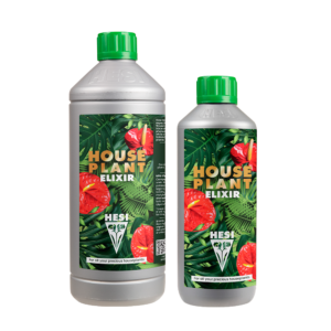 House plant elixir