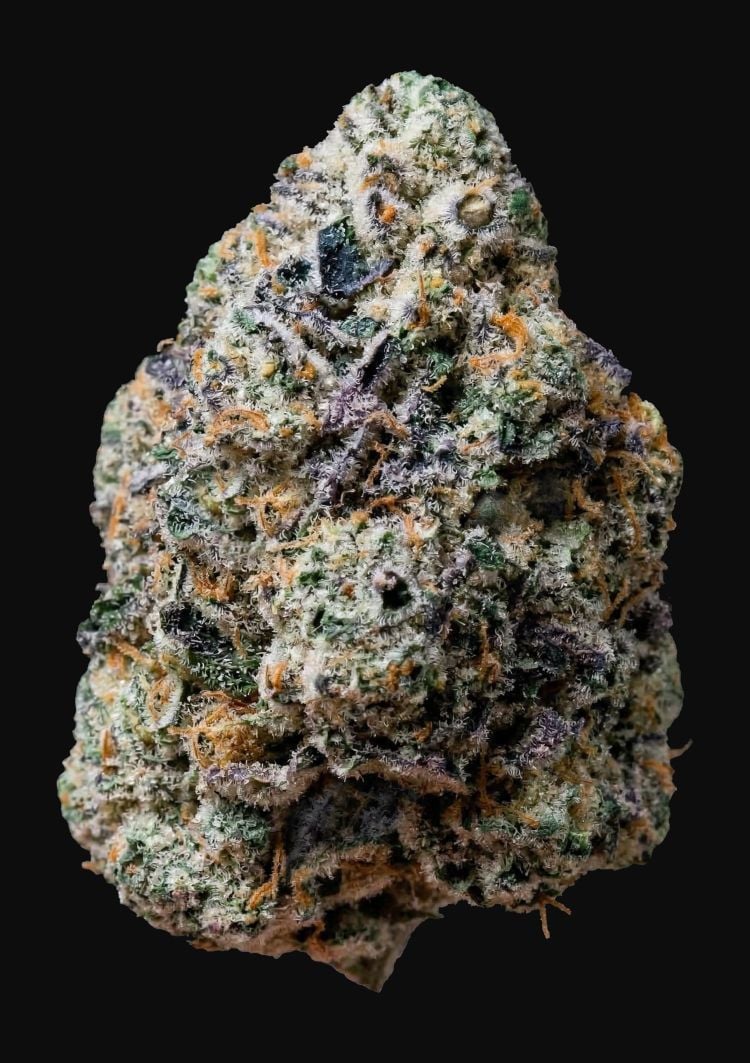 Gary shebet 100% fastbuds