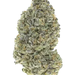 Garlic mint sherbet 100% fastbuds