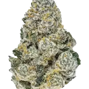 Lemonpaya 100% fastbuds