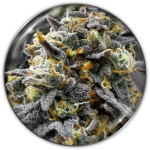 Medical donuts