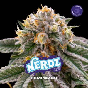Nerdz