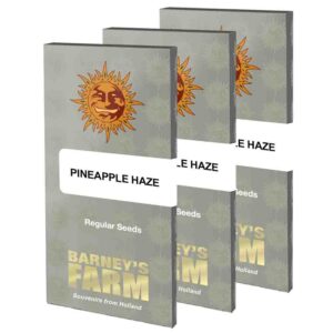 Pineapple haze (10) regular barney farm seeds