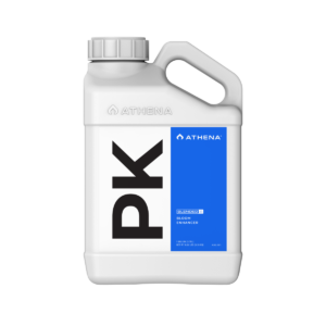 Pk