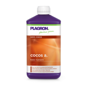 Coco a