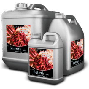 Potash + 1 l cyco