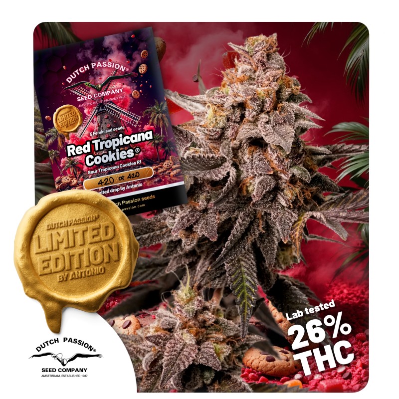 Red tropicana cookies