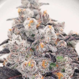 Pink sherbert
