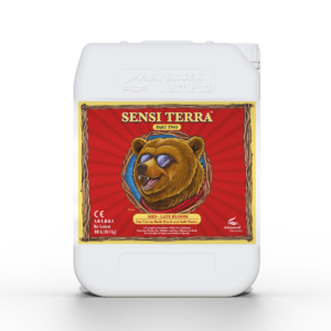 Sensi terra part two