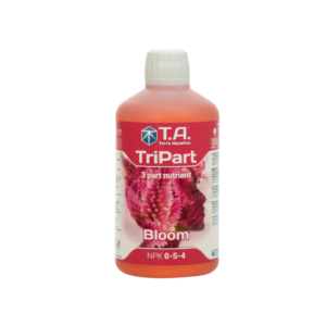Tripart bloom