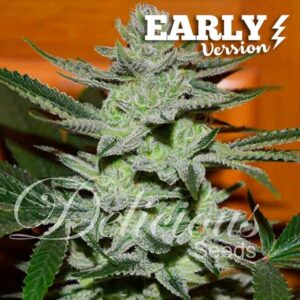Unknown kush early version 100% delicious
